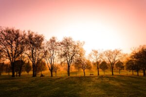 HPR October News Update